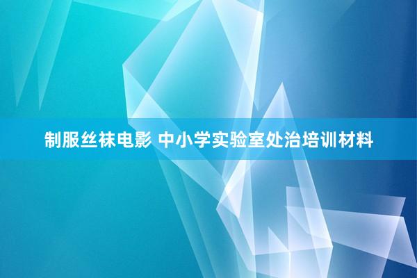 制服丝袜电影 中小学实验室处治培训材料