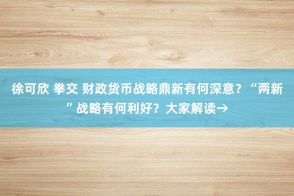 徐可欣 拳交 财政货币战略鼎新有何深意？“两新”战略有何利好？大家解读→
