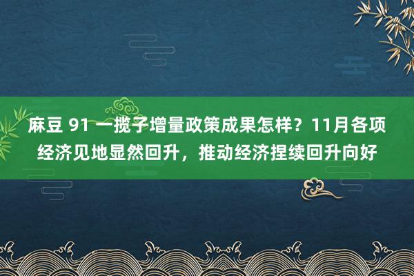 麻豆 91 一揽子增量政策成果怎样？11月各项经济见地显然回升，推动经济捏续回升向好