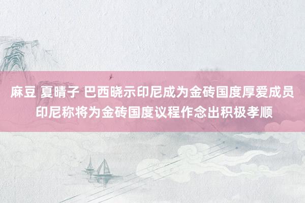 麻豆 夏晴子 巴西晓示印尼成为金砖国度厚爱成员 印尼称将为金砖国度议程作念出积极孝顺