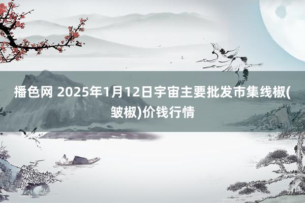播色网 2025年1月12日宇宙主要批发市集线椒(皱椒)价钱行情