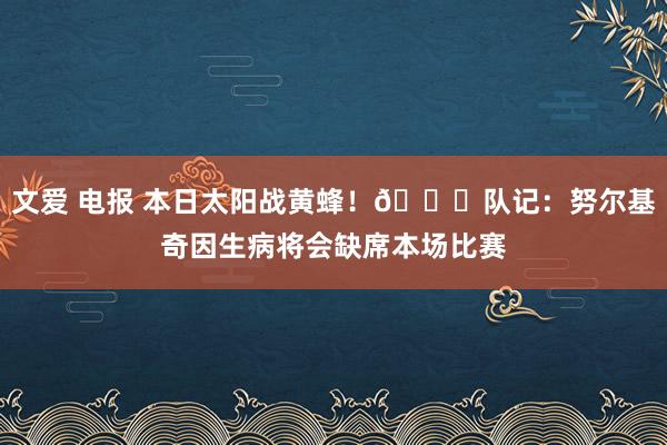 文爱 电报 本日太阳战黄蜂！👀队记：努尔基奇因生病将会缺席本场比赛