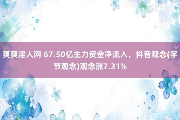 爽爽淫人网 67.50亿主力资金净流入，抖音观念(字节观念)观念涨7.31%