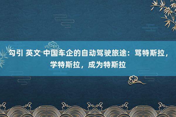 勾引 英文 中国车企的自动驾驶旅途：骂特斯拉，学特斯拉，成为特斯拉