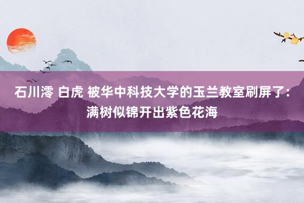 石川澪 白虎 被华中科技大学的玉兰教室刷屏了：满树似锦开出紫色花海