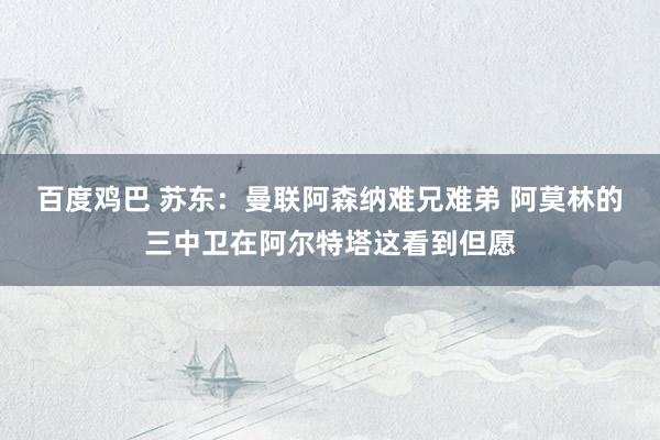 百度鸡巴 苏东：曼联阿森纳难兄难弟 阿莫林的三中卫在阿尔特塔这看到但愿