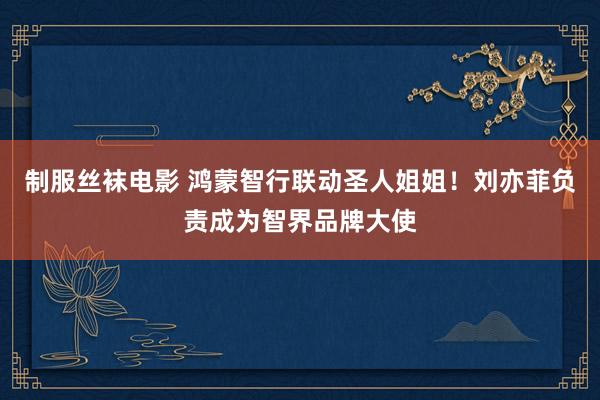 制服丝袜电影 鸿蒙智行联动圣人姐姐！刘亦菲负责成为智界品牌大使
