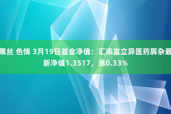 黑丝 色情 3月19日基金净值：汇添富立异医药羼杂最新净值1.3517，涨0.33%