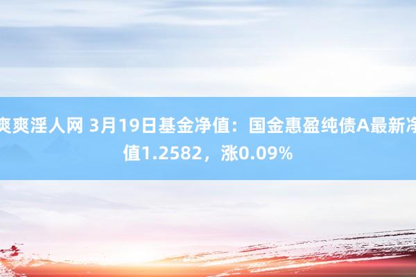 爽爽淫人网 3月19日基金净值：国金惠盈纯债A最新净值1.2582，涨0.09%