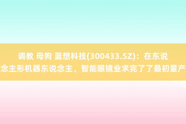 调教 母狗 蓝想科技(300433.SZ)：在东说念主形机器东说念主、智能眼镜业求完了了最初量产