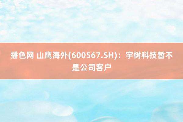 播色网 山鹰海外(600567.SH)：宇树科技暂不是公司客户