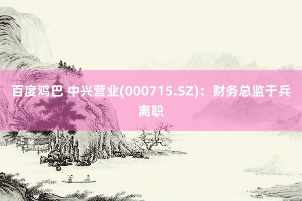 百度鸡巴 中兴营业(000715.SZ)：财务总监于兵离职