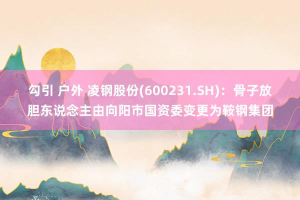 勾引 户外 凌钢股份(600231.SH)：骨子放胆东说念主由向阳市国资委变更为鞍钢集团