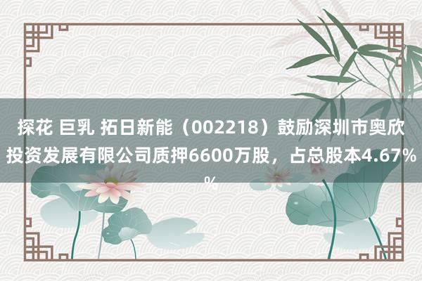 探花 巨乳 拓日新能（002218）鼓励深圳市奥欣投资发展有限公司质押6600万股，占总股本4.67%