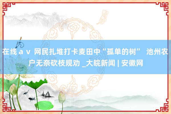 在线ａｖ 网民扎堆打卡麦田中“孤单的树”  池州农户无奈砍枝规劝 _大皖新闻 | 安徽网