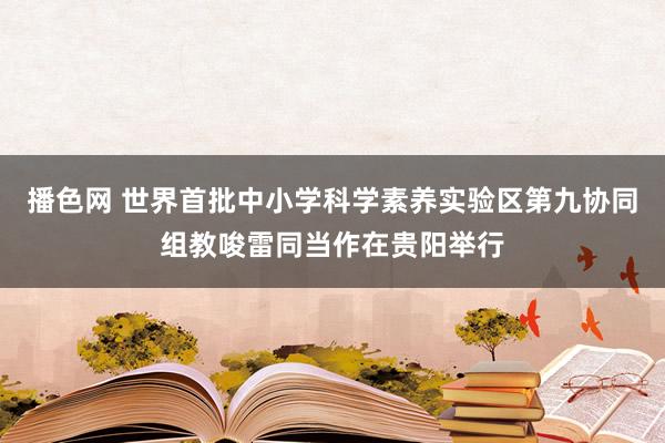 播色网 世界首批中小学科学素养实验区第九协同组教唆雷同当作在贵阳举行