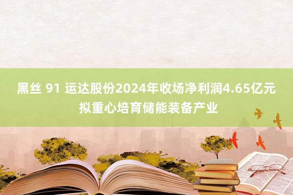 黑丝 91 运达股份2024年收场净利润4.65亿元 拟重心培育储能装备产业