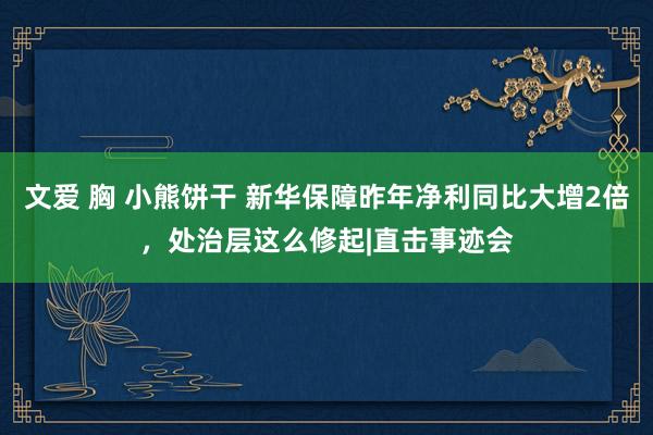 文爱 胸 小熊饼干 新华保障昨年净利同比大增2倍，处治层这么修起|直击事迹会