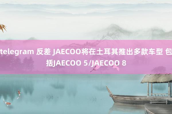 telegram 反差 JAECOO将在土耳其推出多款车型 包括JAECOO 5/JAECOO 8