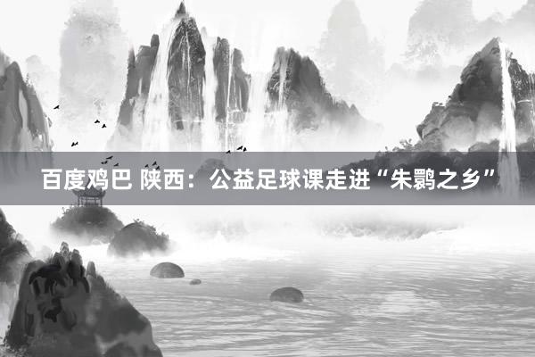 百度鸡巴 陕西：公益足球课走进“朱鹮之乡”