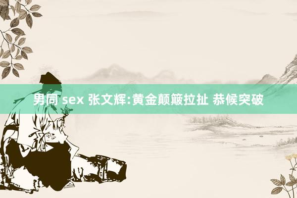 男同 sex 张文辉:黄金颠簸拉扯 恭候突破