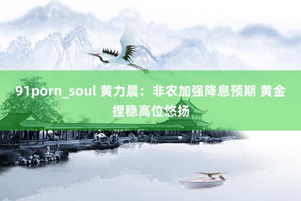 91porn_soul 黄力晨：非农加强降息预期 黄金捏稳高位悠扬