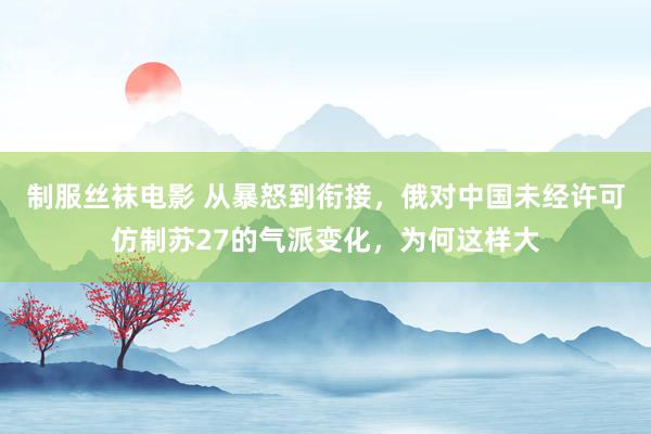 制服丝袜电影 从暴怒到衔接，俄对中国未经许可仿制苏27的气派变化，为何这样大