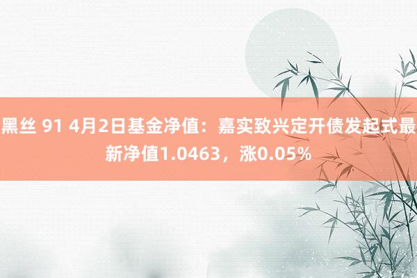 黑丝 91 4月2日基金净值：嘉实致兴定开债发起式最新净值1.0463，涨0.05%