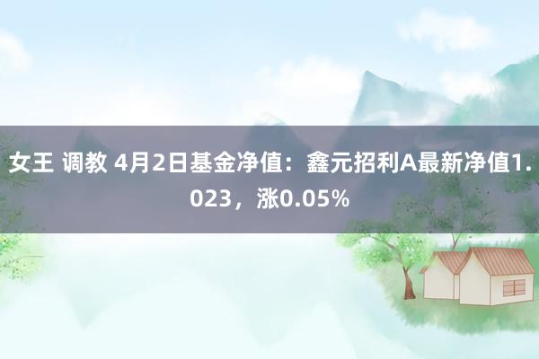 女王 调教 4月2日基金净值：鑫元招利A最新净值1.023，涨0.05%