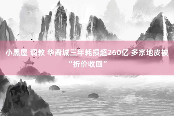 小黑屋 调教 华裔城三年耗损超260亿 多宗地皮被“折价收回”