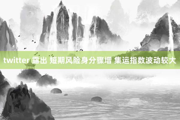 twitter 露出 短期风险身分骤增 集运指数波动较大