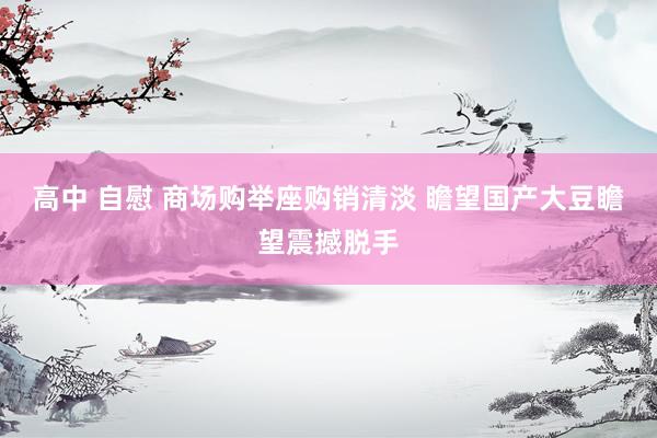 高中 自慰 商场购举座购销清淡 瞻望国产大豆瞻望震撼脱手