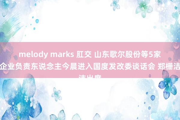 melody marks 肛交 山东歌尔股份等5家民营企业负责东说念主今晨进入国度发改委谈话会 郑栅洁出席