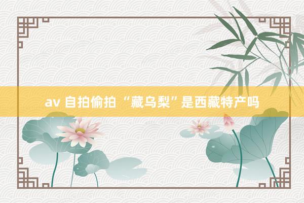 av 自拍偷拍 “藏乌梨”是西藏特产吗