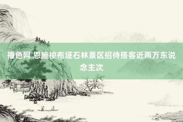 播色网 恩施梭布垭石林景区招待搭客近两万东说念主次