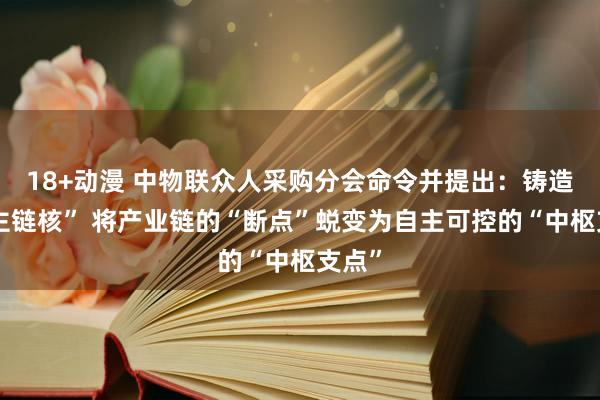 18+动漫 中物联众人采购分会命令并提出：铸造“自主链核” 将产业链的“断点”蜕变为自主可控的“中枢支点”