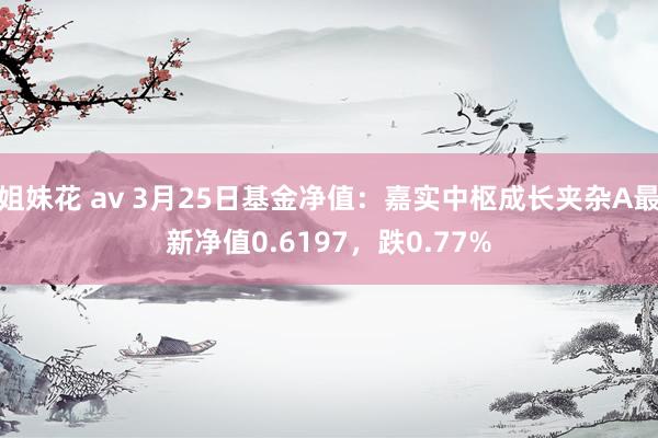 姐妹花 av 3月25日基金净值：嘉实中枢成长夹杂A最新净值0.6197，跌0.77%