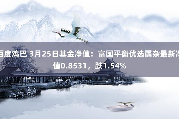 百度鸡巴 3月25日基金净值：富国平衡优选羼杂最新净值0.8531，跌1.54%