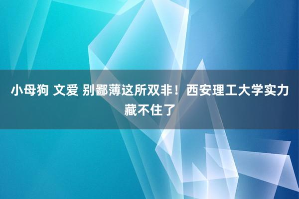 小母狗 文爱 别鄙薄这所双非！西安理工大学实力藏不住了