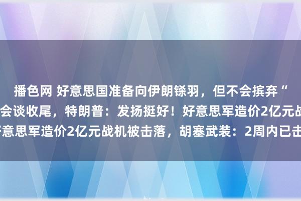 播色网 好意思国准备向伊朗铩羽，但不会摈弃“红线”！好意思伊首轮会谈收尾，特朗普：发扬挺好！好意思军造价2亿元战机被击落，胡塞武装：2周内已击落4架