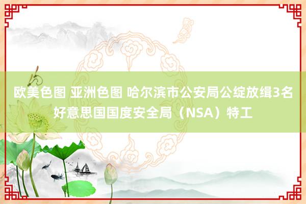 欧美色图 亚洲色图 哈尔滨市公安局公绽放缉3名好意思国国度安全局（NSA）特工