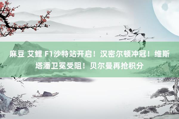 麻豆 艾鲤 F1沙特站开启！汉密尔顿冲冠！维斯塔潘卫冕受阻！贝尔曼再抢积分