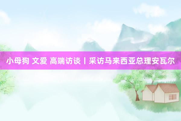 小母狗 文爱 高端访谈丨采访马来西亚总理安瓦尔