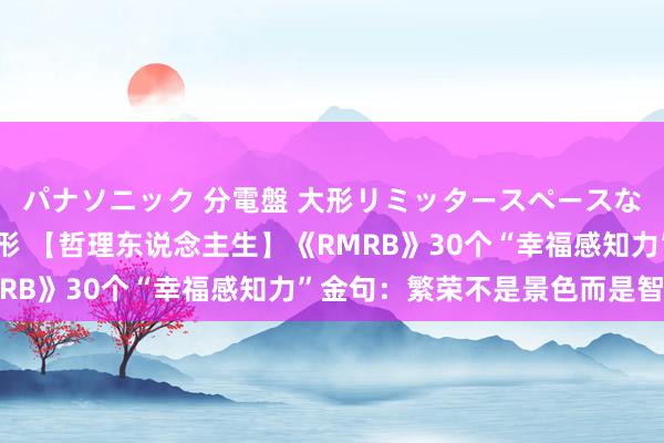 パナソニック 分電盤 大形リミッタースペースなし 露出・半埋込両用形 【哲理东说念主生】《RMRB》30个“幸福感知力”金句：繁荣不是景色而是智商