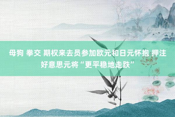 母狗 拳交 期权来去员参加欧元和日元怀抱 押注好意思元将“更平稳地走跌”