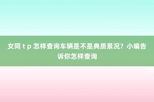 女同 t p 怎样查询车辆是不是典质景况？小编告诉你怎样查询