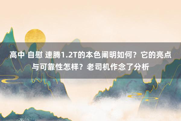 高中 自慰 速腾1.2T的本色阐明如何？它的亮点与可靠性怎样？老司机作念了分析